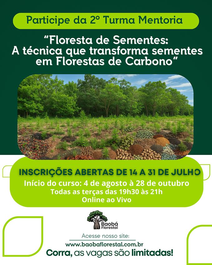2ª Turma da Mentoria Floresta de Sementes: Floresta de sementes - A técnica que transforma sementes em florestas de carbono.